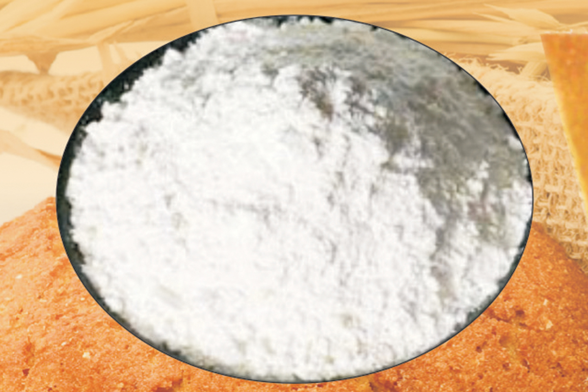 actizyme