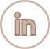 linkedin icon