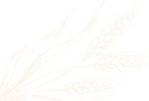 red-bg-3